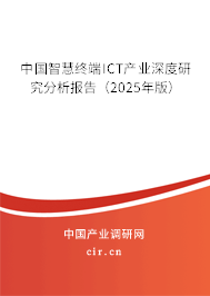 中國智慧終端ICT產業(yè)深度研究分析報告（2025年版）