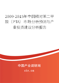 2009-2015年中國精對(duì)苯二甲酸（PTA）市場分析預(yù)測(cè)與產(chǎn)業(yè)投資建議分析報(bào)告