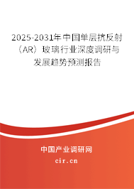 2025-2031年中國單層抗反射（AR）玻璃行業(yè)深度調(diào)研與發(fā)展趨勢預(yù)測報告