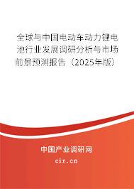 全球與中國電動車動力鋰電池行業(yè)發(fā)展調(diào)研分析與市場前景預(yù)測報告（2025年版）