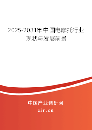 2025-2031年中國(guó)電摩托行業(yè)現(xiàn)狀與發(fā)展前景