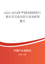 2025-2031年中國電網(wǎng)儲能行業(yè)現(xiàn)狀深度調(diào)研與發(fā)展趨勢報告