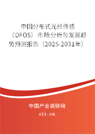 中國(guó)分布式光纖傳感（DFOS）市場(chǎng)分析與發(fā)展趨勢(shì)預(yù)測(cè)報(bào)告（2025-2031年）