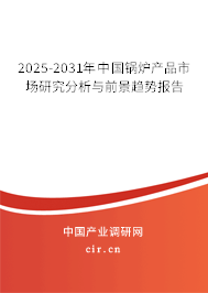2025-2031年中國(guó)鍋爐產(chǎn)品市場(chǎng)研究分析與前景趨勢(shì)報(bào)告
