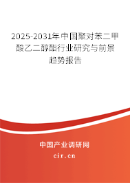 2025-2031年中國(guó)聚對(duì)苯二甲酸乙二醇酯行業(yè)研究與前景趨勢(shì)報(bào)告