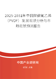 2025-2031年中國聚偏氟乙烯（PVDF）發(fā)展現(xiàn)狀分析與市場(chǎng)前景預(yù)測(cè)報(bào)告