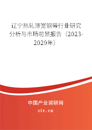 遼寧熱軋薄寬鋼帶行業(yè)研究分析與市場(chǎng)前景報(bào)告（2023-2029年）