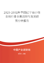 2025-2031年中國遼寧省小微金融行業(yè)全面調(diào)研與發(fā)展趨勢分析報(bào)告