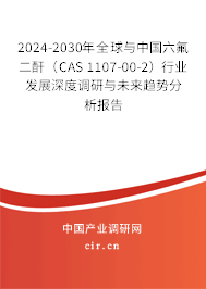 2024-2030年全球與中國六氟二酐（CAS 1107-00-2）行業(yè)發(fā)展深度調(diào)研與未來趨勢分析報告