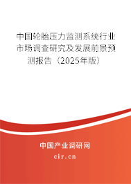 中國(guó)輪胎壓力監(jiān)測(cè)系統(tǒng)行業(yè)市場(chǎng)調(diào)查研究及發(fā)展前景預(yù)測(cè)報(bào)告（2025年版）