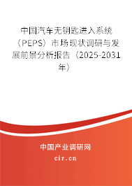 中國汽車無鑰匙進入系統(tǒng)（PEPS）市場現(xiàn)狀調研與發(fā)展前景分析報告（2025-2031年）