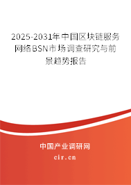 2025-2031年中國區(qū)塊鏈服務(wù)網(wǎng)絡(luò)BSN市場調(diào)查研究與前景趨勢報告