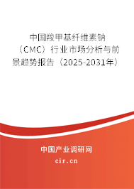 中國羧甲基纖維素鈉（CMC）行業(yè)市場分析與前景趨勢報(bào)告（2025-2031年）