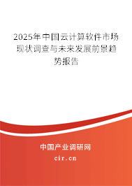 2025年中國云計算軟件市場現(xiàn)狀調查與未來發(fā)展前景趨勢報告