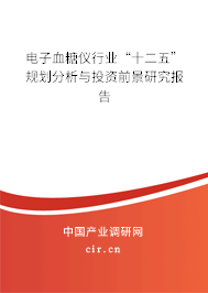 電子血糖儀行業(yè)“十二五”規(guī)劃分析與投資前景研究報告