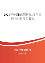 2025年中國π型鋼行業(yè)發(fā)展回顧與前景展望報(bào)告