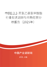 中國2,2,2-三氯乙基氯甲酸酯行業(yè)現(xiàn)狀調(diào)研與市場前景分析報告（2025年）
