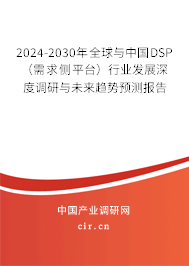 2024-2030年全球與中國(guó)DSP（需求側(cè)平臺(tái)）行業(yè)發(fā)展深度調(diào)研與未來(lái)趨勢(shì)預(yù)測(cè)報(bào)告