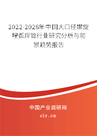 2022-2028年中國大口徑螺旋埋弧焊管行業(yè)研究分析與前景趨勢報告
