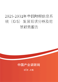 2025-2031年中國(guó)地理信息系統(tǒng)（GIS）發(fā)展現(xiàn)狀分析及前景趨勢(shì)報(bào)告