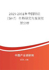 2025-2031年中國硅烷（SiH?）市場研究與發(fā)展前景分析