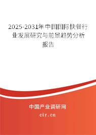 2025-2031年中國國際快餐行業(yè)發(fā)展研究與前景趨勢分析報告
