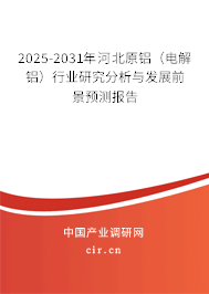 2025-2031年河北原鋁（電解鋁）行業(yè)研究分析與發(fā)展前景預(yù)測報告
