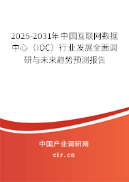2025-2031年中國互聯(lián)網(wǎng)數(shù)據(jù)中心（IDC）行業(yè)發(fā)展全面調(diào)研與未來趨勢預(yù)測報告