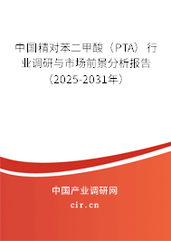 中國精對苯二甲酸（PTA）行業(yè)調(diào)研與市場前景分析報告（2025-2031年）