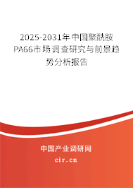 2025-2031年中國聚酰胺PA66市場調(diào)查研究與前景趨勢分析報告