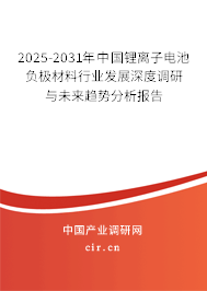 2025-2031年中國(guó)鋰離子電池負(fù)極材料行業(yè)發(fā)展深度調(diào)研與未來(lái)趨勢(shì)分析報(bào)告