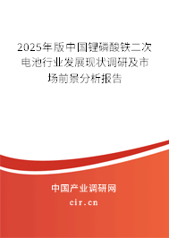 2025年版中國(guó)鋰磷酸鐵二次電池行業(yè)發(fā)展現(xiàn)狀調(diào)研及市場(chǎng)前景分析報(bào)告