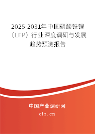 2025-2031年中國磷酸鐵鋰（LFP）行業(yè)深度調研與發(fā)展趨勢預測報告