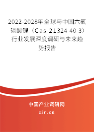 2022-2028年全球與中國(guó)六氟磷酸鋰（Cas 21324-40-3）行業(yè)發(fā)展深度調(diào)研與未來(lái)趨勢(shì)報(bào)告