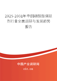 2025-2031年中國(guó)硼酸酯偶聯(lián)劑行業(yè)全面調(diào)研與發(fā)展趨勢(shì)報(bào)告