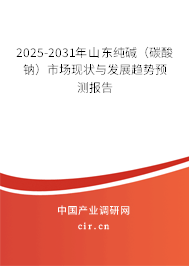 2025-2031年山東純堿（碳酸鈉）市場(chǎng)現(xiàn)狀與發(fā)展趨勢(shì)預(yù)測(cè)報(bào)告