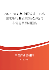 2025-2031年中國數(shù)據(jù)中心高架地板行業(yè)發(fā)展研究分析與市場前景預測報告