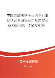 中國碳酸氫鈉干滅火劑行業(yè)現(xiàn)狀調(diào)查研究及市場前景分析預(yù)測報告（2025年版）