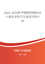 2025-2031年中國物聯(lián)網(wǎng)電池行業(yè)現(xiàn)狀研究與發(fā)展前景分析