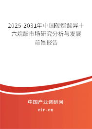 2025-2031年中國硬脂酸異十六烷酯市場研究分析與發(fā)展前景報告