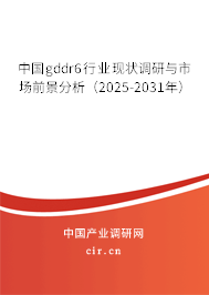 中國(guó)gddr6行業(yè)現(xiàn)狀調(diào)研與市場(chǎng)前景分析（2025-2031年）