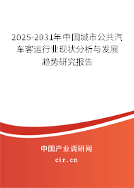 2025-2031年中國城市公共汽車客運(yùn)行業(yè)現(xiàn)狀分析與發(fā)展趨勢研究報告