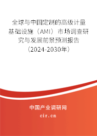 全球與中國(guó)定制的高級(jí)計(jì)量基礎(chǔ)設(shè)施（AMI）市場(chǎng)調(diào)查研究與發(fā)展前景預(yù)測(cè)報(bào)告（2024-2030年）
