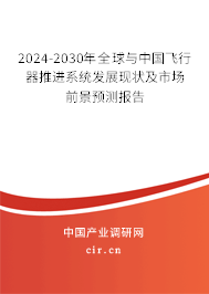 2024-2030年全球與中國飛行器推進(jìn)系統(tǒng)發(fā)展現(xiàn)狀及市場前景預(yù)測報告