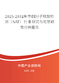 2025-2031年中國(guó)分子核酸檢測(cè)（NAT）行業(yè)研究與前景趨勢(shì)分析報(bào)告