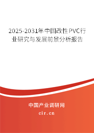 2025-2031年中國(guó)改性PVC行業(yè)研究與發(fā)展前景分析報(bào)告