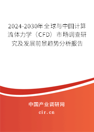 2024-2030年全球與中國計算流體力學（CFD）市場調(diào)查研究及發(fā)展前景趨勢分析報告