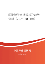 中國聚醚胺市場現(xiàn)狀及趨勢分析（2025-2031年）