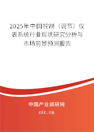 2025年中國控制（調(diào)節(jié)）儀表系統(tǒng)行業(yè)現(xiàn)狀研究分析與市場前景預(yù)測報告