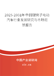 2025-2031年中國鋰離子電動汽車行業(yè)發(fā)展研究與市場前景報告